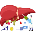 Liver Transplant Surgeon